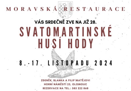 28-svatomartinske-husi-hody