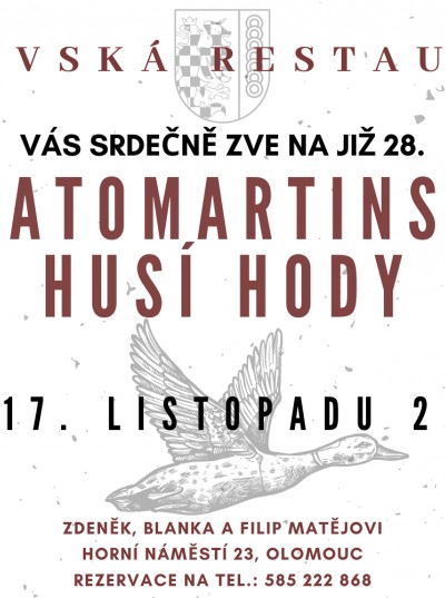 28-svatomartinske-husi-hody