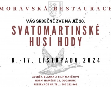 28-svatomartinske-husi-hody